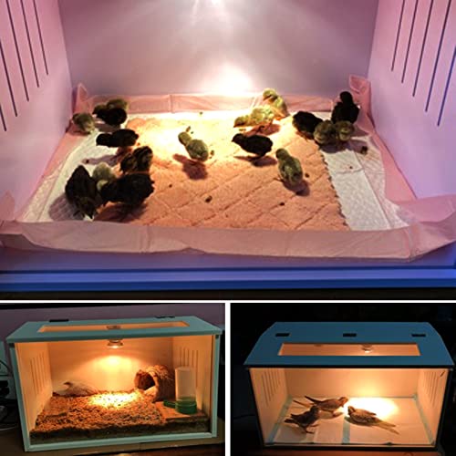 A&K L'YDIA Intelligent Chick Brooder Heating Brooding Box -Chicken Brooder Warms Up to Newborns Chicks,Suitable for Poultry Breeding Box Suitable for Chicks Duckling