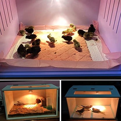 A&K L'YDIA Intelligent Chick Brooder Heating Brooding Box -Chicken Brooder Warms Up to Newborns Chicks,Suitable for Poultry Breeding Box Suitable for Chicks Duckling