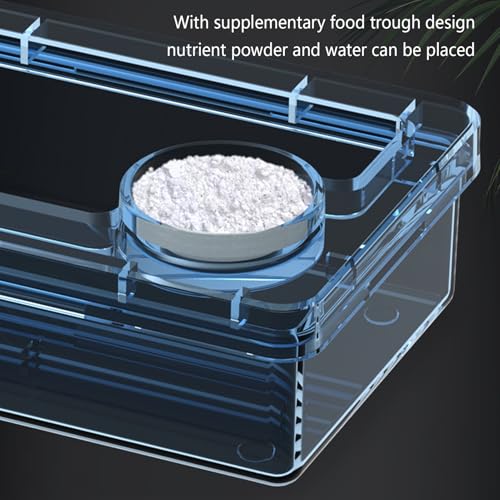 Reptile Water Bowl - Anti-Escape Crested Gecko Food Dish, Reptile Amphibian Feeders, Polystyrene | Snake Water Bowl for Habitat Feeding Gecko Chameleon Terrarium Frog Tank Lizard Tortoise Cage Le - color: Blue
