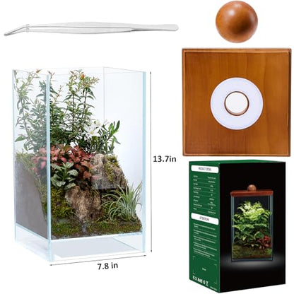 Large Glass Plant Terrarium: 13.7H+7.8W Terrarium with Light | Desktop Propagation Station for Succulent/Moss/Miniature Gardening Landscape/Betta Fish Tank