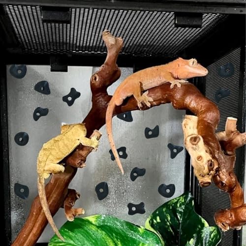 32PCS Rock Climbing Holds for Bearded Dragons Climbing Rock Wall Grips for Bearded Dragons Tank Accessories Reptiles Toy Rock Wall Holds (Not Glue) - color: Black