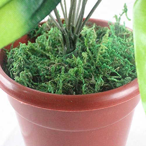 Artificial Dried Forest Moss Fake Moss Preserved Green Moss for Potted Plant Orchid Potting Mix Sphagnum Peat Moss Pole Craft Arts Floral Wedding Decor Centerpiece Fairy Garden Decoration 3.5oz