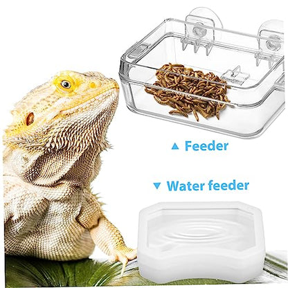 2Pcs Reptile Feeding Dish Escape Bowl with Strong Suction Cup Transparent Food Water Feeder for Lizard Gecko Bearded Dragon Suitable for Various Reptiles