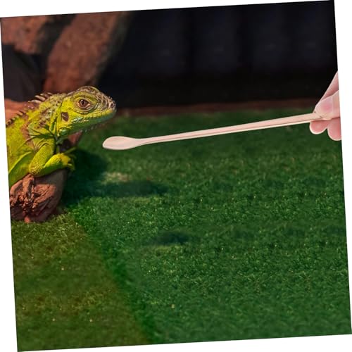 Toddmomy 2Pcs Reptile Feeding Spoon Durable Stainless Steel Spoons for Wet Food for Lizards Turtles and Small Animals Design Reusable and Easy to Clean