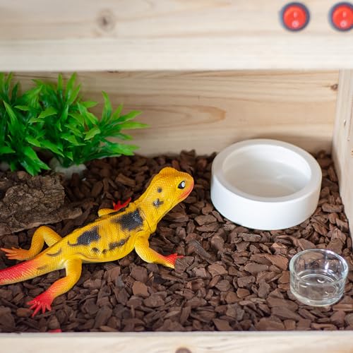 OMEM Worm Dish Mini Reptile Food Bowl Ceramics Made Mealworms Bowls Anti-Escape for Lizard Gecko Leopard Bearded Dragon (M) - size: Medium