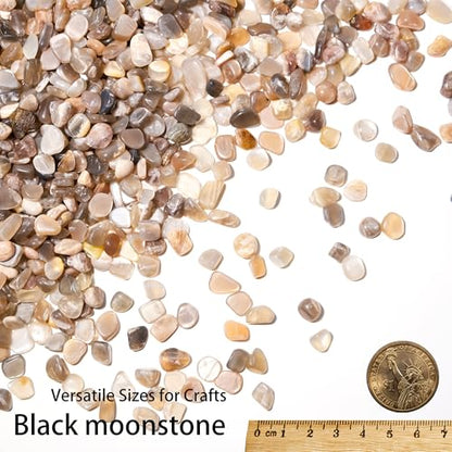 Black Moonstone Chips Bulk 1lb, 850+ Pieces, 5-8mm Natural Gemstones - color: Black Moonstone, size: 1LB