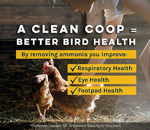 MICROBE-LIFT Chicken Coop Cleaner and Odor Eliminator, Use on All Surfaces and Supplies, Turns Chicken Poop Into Fertilizer, Ammonia Reducer, Highly Concentrated and Safe Formula, 1 Gallon - size: 128 Fl Oz (Pack of 1)