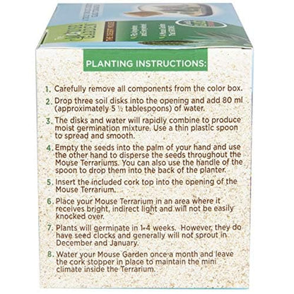 Mini Office Cactus Glass Terrarium Starter Kit with Complete Supplies - The Desert Mouse Tiny Garden - Fun to Grow, Low Maintenance - Perfect for The Indoor Office Or Home Tabletop or Desk!