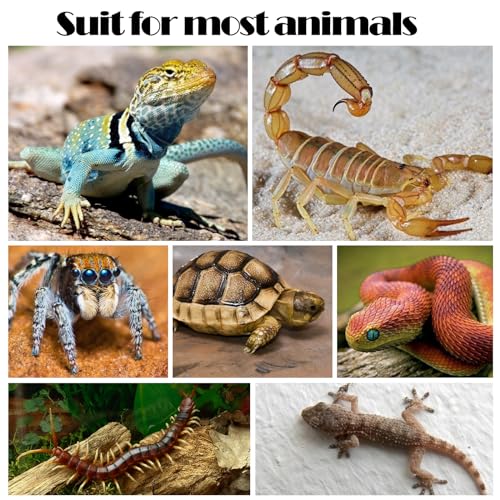 4 Pack Reptile Feeding Dish Reptile Food Water Bowl with Reptile Feeding Tongs Reptile Plate Dish for Feeding Tortoise Dragon Leopard Gecko Lizard, Black