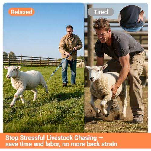 Goat Catcher Hook, Heavy Duty Shepherd Crook, 32-79" Adjustable | 304 Stainless Steel Sheep Leg Hook with Smooth Ball Tip, Livestock Grabber Tool for Ranch Farm, Storage Bag Included