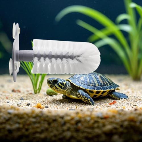DoubleWood Turtle Brush with Suction Cup for Tank, 2 Pcs Turtle Toys for Aquatic Tank, Turtle Tank Accessories, Turtle Scratcher for Tank Aquatic Turtle Toys (2 PCS)
