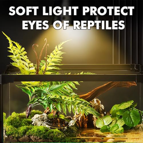 Reptile Heat Lamp, 100W Heat Lamp Bulbs for Reptiles 2 Pack, Amphibians Basking Heat Lamp Bulbs, UVA Daylight Basking Light for Reptiles, Bearded Dragon, Lizard, Turtle, Chicken