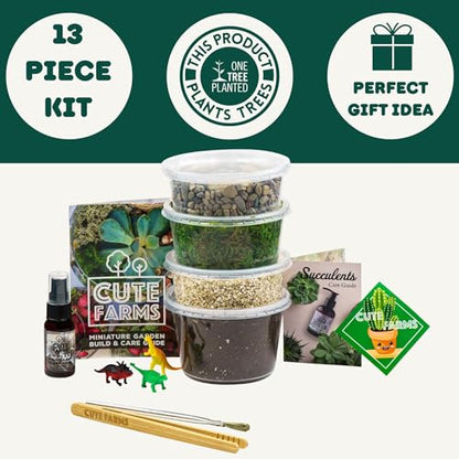 Terrarium Starter Kit | Moss, Vermiculite, Soil, Pebbles, Plant Food, Finishing Tools, Build and Care Guide | DIY Succulent Terrarium for Adults and Kids (Medium) - size: Medium Kit