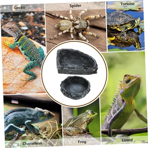 ORFOFE 2pcs Reptile Water Dish Food Feeding Container Water Storage Basin for Turtles Snakes Lizards for Easy Care and Habitat Decoration