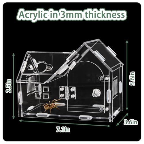 Acrylic Jumping Spider Enclosure House-Shaped Terrarium | Magnetic front door lock, top sliding feeding port, 1mm ventilation holes, scratch-resistant clear acrylic - color: transparent