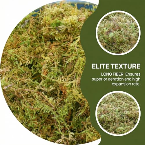 2.5 LB Sphagnum Moss for Plants, Long Fiber Orchid Moss for Carnivorous Plants, Terrariums and Indoor Potting, Compressed Sphagnum Bricks.