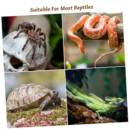 GANAZONO 6pcs Reptile Feeding Tank Buckle Sturdy Plastic Turtle Tank Lock Clips for Terrarium Escape Prevention Easy Install Latches for Aquarium and Turtle Box Corners