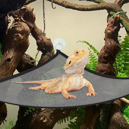 kathson Reptile Bridge for Terrarium,Bearded Dragon Wooden Bridges Gecko Hammock with Hanging Plants Lizard Lounger Bamboo Ladder Reptiles Tank Accessories Climbing for Chameleons Geckos Snakes (3Pcs) - size: Medium