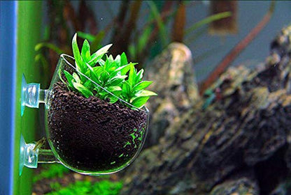 Tfwadmx Aquarium Plant Holder Pot Aquarium Decor Crystal Glass Aquatic Plant Cup with Suction Cups for Fish Tank Aquascape Decoration (4 Pack)