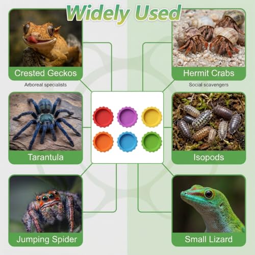 12 PCS Crested Gecko Food Dish, Reusable Reptile Water Dish Feeding Cups | Silicone Small Gecko Feeding Cups for Hermit Crab, Tarantula, Isopods, Snails and Lizard (6 Colors)