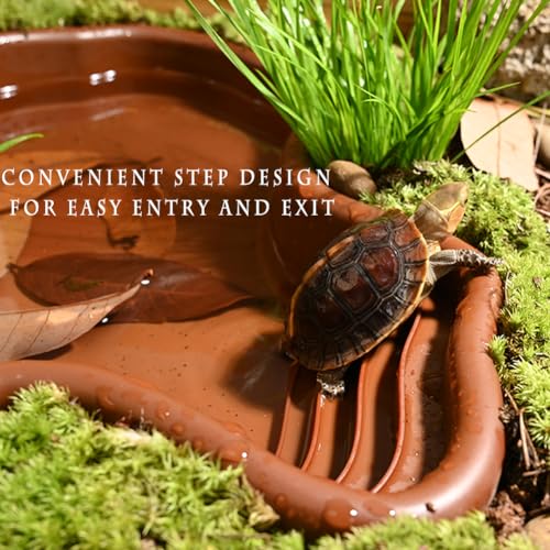 Reptile Habitat for Turtle Salamander Bearded Dragon Lizard Gecko | Water Pool for Turtle Bathing Pool, Accessories & Enclosure for Frog Snake, Food Feeding Bowl, Tweezers & Bath Tub Set