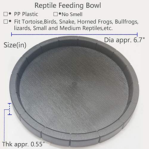 Reptile Feeding Dish Bowl Food and Water Bowl Tortoise Dish Reptile Tank Decor, Dia 6.7 Inches, Round