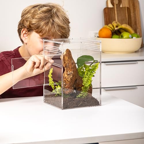 EctoTherm Arboreal Jumping Spider Enclosure and Arboreal Tarantula Enclosure - size: Medium