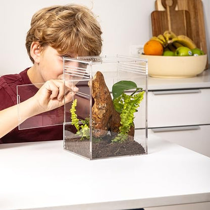 EctoTherm Arboreal Jumping Spider Enclosure and Arboreal Tarantula Enclosure - size: Medium