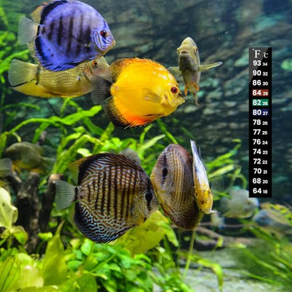 AQUANEAT 6 PCS Aquarium Thermometer Strips, Fish Tank Thermometer Sticker, Terrarium Water Temperature Test (5.13" x 0.71") - size: 5.13" x 0.71"