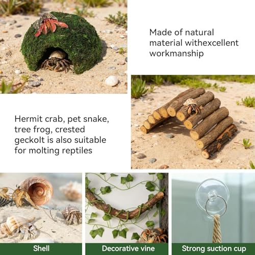 Hermit Crab Accessories, Hermit Crab Climbing Toys, Bendable Rope Bridge Wooden Shell Hideout Hut Plants for Reptile Amphibians Hermit Crab Tank Accessories Supplies