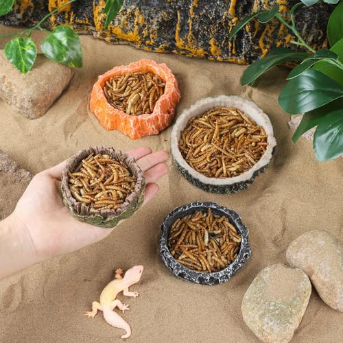 IBWell 2pcs Reptile Water Bowl with Feeding Tweezers - Food Dish for Lizard, Snake, Tortoise & Small Animals - Gray Tree Stump