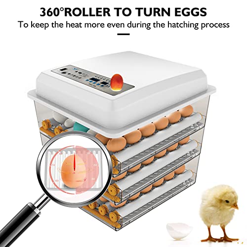 Egg Incubator - Egg Incubator with Automatic Egg Turning and Humidity Control,Large Poultry Hatcher for Chickens Birds Ducks (182 Eggs) (182 Eggs)