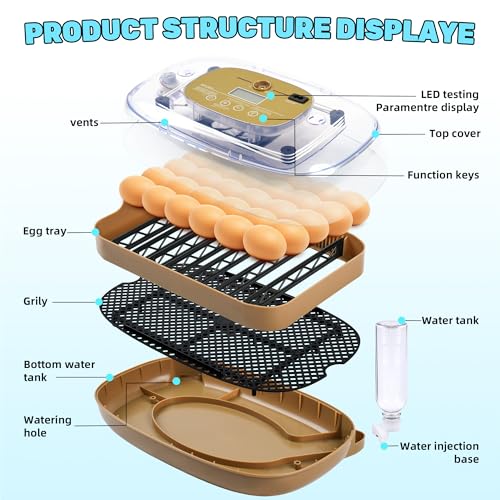 Ploomi 24 Eggs Incubator with Auto Water Refill & Humidity Control, Automatic Egg Turner, Built-in LED Candler, Species Pre-Programs for Chicken Duck Quail Turkey - Beginner Friendly