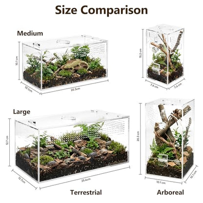 Jumping Spider Enclosure Set, Terrestrial Arboreal Combo, Acrylic Tarantula Terrarium, Praying Mantis Habitat, No Assembly, 2-Size Kit, Large - size: Large
