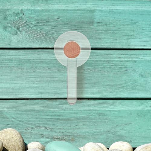 Plant Propagation Station with Wooden Stand and Glass Tubes for Hydroponic Plants, Wall Hanging Terrarium Planter with Nail-Free Mounting System, Japanese Inspired Modern Decor