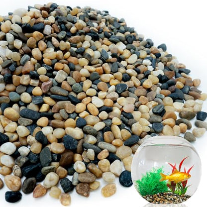 NUPICK 3 lb Aquarium Gravel, 1/4" Ph-Natural Pea Gravel for Fish Tank | Small River Rocks for Plants, Decorative Aquarium Pebbles for Vase, Landscaping, Succulent, Cactus, Terrarium, Bird Bath - size: 3 lb