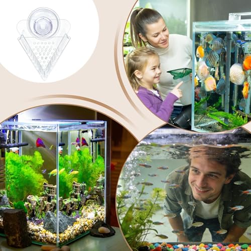 Shrimp Feeding Dish - Transparent Acrylic Cone Worm Feeding Tray, 2.36x1.57x2.36 inches Aquarium Fish Feeder Dish for Betta, Shrimp, Snails, Frogs, Puffers, Turtles and Coral Reef Tanks