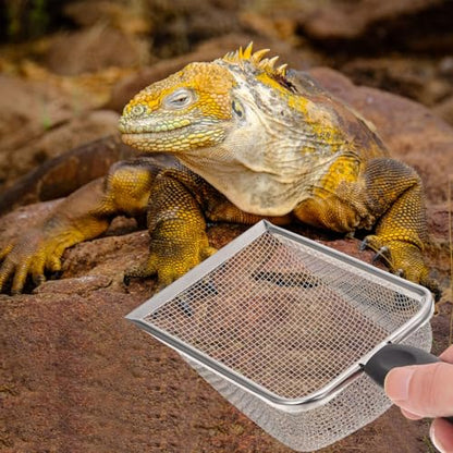 POPETPOP Stainless Steel Reptile Sand Shovel with Fine Mesh Sifter 10.62In Ergonomic Handle for Tortoise Lizard Snake Bedding and Terrarium Substrate Cleaning