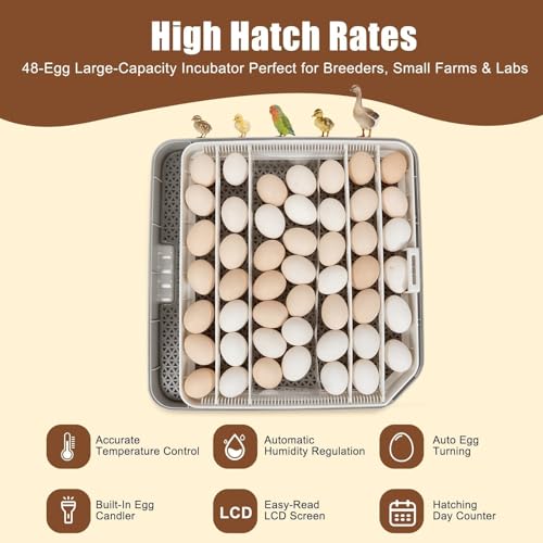 Series IV - 48 Egg Professional Incubator for Breeders, Automatic Sensor-Based Precise Humidity & Temp Control, Adjustable Spacing, Auto Turn & Auto Stop, Preset Incubation Days, Chick Separator - size: 48-Egg Gray