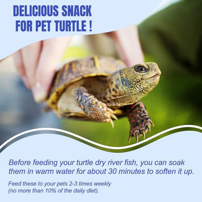 Amzey 2.3 oz Dried River Fish - Natural Food for Turtles, Terrapins, Reptiles and Large Tropical Fish - size: 2.3 Ounce (Pack of 1)
