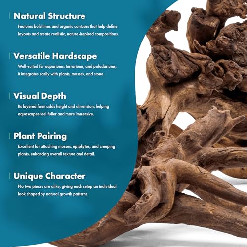 Natural Aquarium Driftwood for Fish Tanks, Terrarium, Reptile Habitats, Freshwater Aquatic Decor - Small to Large Pieces (Amazon Wood (Small) 4-8", 10 Pieces) - size: 10 Pieces