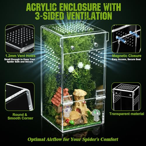 Jumping Spider Enclosure Kit – Escape-Proof Terrarium for Jumping Spiders | 3"x3"x6.2" Complete Habitat with Spider Cage, Plants, Moss, and Accessories – Ideal Starter Kit