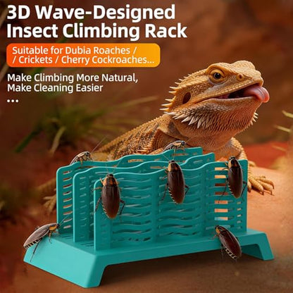 Bearded Dragon Food Bowl Escape-Proof Pet Feeder | Bearded Dragon Bowl for Terrarium Tank Chameleon Lizard Gecko Frog Amphibians Hunting