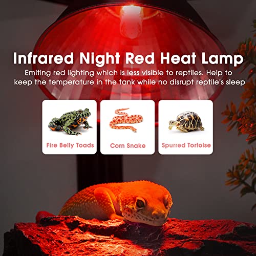 G9 Infrared Heat Lamp Bulbs for Reptile Mini Reptile Light Red | 2 Pack Dimmable Night Red UVA Reptile Heat Lamp, 2 Pin Base Mini Heat Bulbs 50W, Bearded Dragon Turtle Lizard - color: Red, size: G9 Heat Bulb