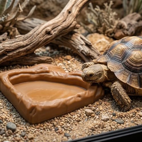 3 Pack Reptile Food Bowl Water Dish Fan Shape Feeding Basin for Gecko Bearded Dragons Snake Small Reptile