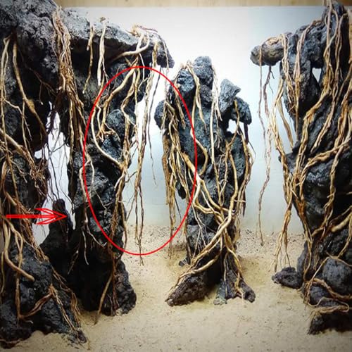 Natural Driftwood Root Trunk Tree Aquarium Decor, 10-30 CM | Randomly Bundled, Fish Tanks, Terrariums, Aquascaping & Planted Tanks