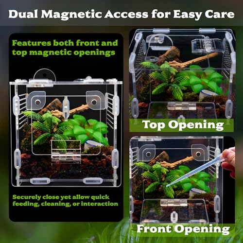 Jumping Spider Enclosure, Small Reptile Terrarium for Tarantula Hermit Crab Praying Mantis, Acrylic Insect Habitat with Magnetic Front & Top Opening (4.52" x 4.52" x 4.52") - size: Small Szie