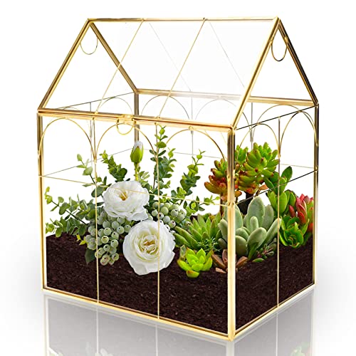 Geometric Plant Terrarium with Lid, House Succulent Terrarium Kit for Display, Air Plants, Succulents, Home Tabletop Miniature Terrarium, Not Airtight or Waterproof (Gold) - color: Gold