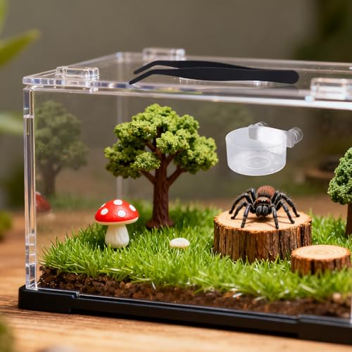 Jumping Spider Feeding Dish Set, Magnetic Water Dispenser Bowl Reptile Feeding Tweezers & 2pcs Jumping Spider Enclosure Decor Accessories for Small Animal Stuff