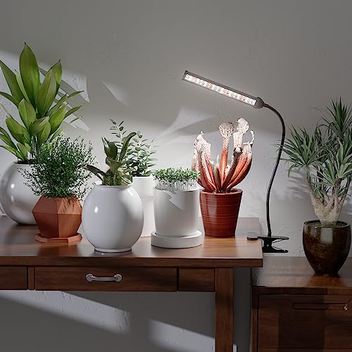Grow Light for Indoor Plants Growing, 6000K Full Spectrum | Desk Lamp with Red Blue LED for Plants Growth, Strong Clamp with Gooseneck , Dimmable with Auto Timer - size: 40Watts